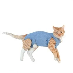 Body Cobre Gato Cunatex Talla 2