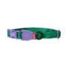 Collar Zeedog Hulk Small -Puntomascotas Tienda Collar Zeedog Hulk Small