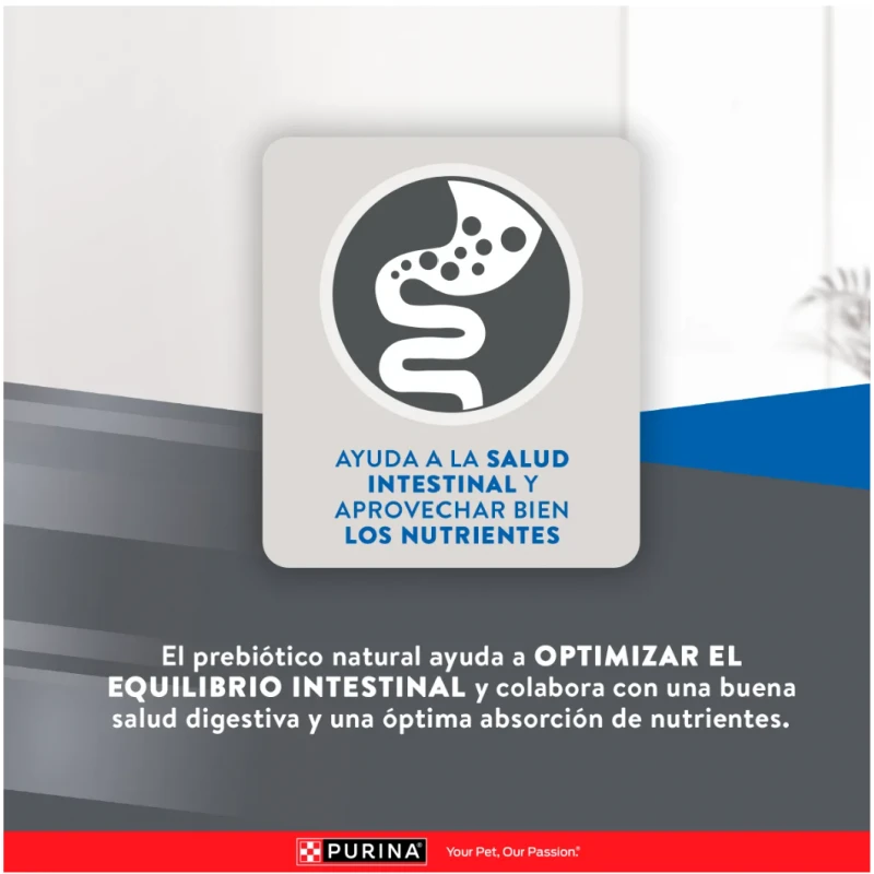 Purina Excellent Gato Urinario 7.5 Kg 8 Purina Excellent Gato Urinario 7.5 Kg - Imagen 6