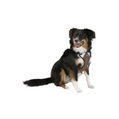 Kerbl Arnes Perro Pulsive M -Puntomascotas Tienda Kerbl Arnes Perro Pulsive M 2