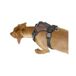 Kerbl Arnes Perro Pulsive M -Puntomascotas Tienda Kerbl Arnes Perro Pulsive M 4