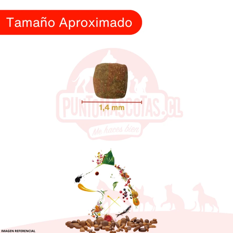 Cooking Alimento Grain Free Super Premium Perro Senior Light 2 Kg 4 Cooking Alimento Grain Free Super Premium Perro Senior Light 2 Kg - Imagen 2