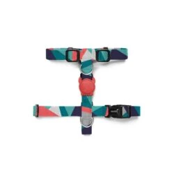 Arnes Zee Dog H Ella Medium