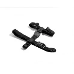 Arnes Zee Dog Gotham H Large