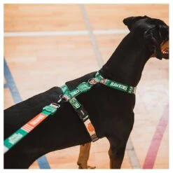 Arnes Zeedog H Hawkins Stranger Things Large -Puntomascotas Tienda arnes zeedog h hawkins stranger things large 2