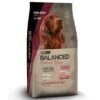 Vitalcan Balanced Perro Adulto Exclusive Recipe Cerdo Y Arroz 15 Kg 2 Vitalcan Balanced Perro Adulto Exclusive Recipe Cerdo Y Arroz 15 Kg -Puntomascotas Tienda balanced perro adulto exclusive recipe cerdo y arroz 15 kg
