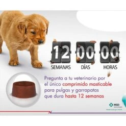 Bravecto 40 A 56 Kg -Puntomascotas Tienda bravecto 2 a 45 kg 2