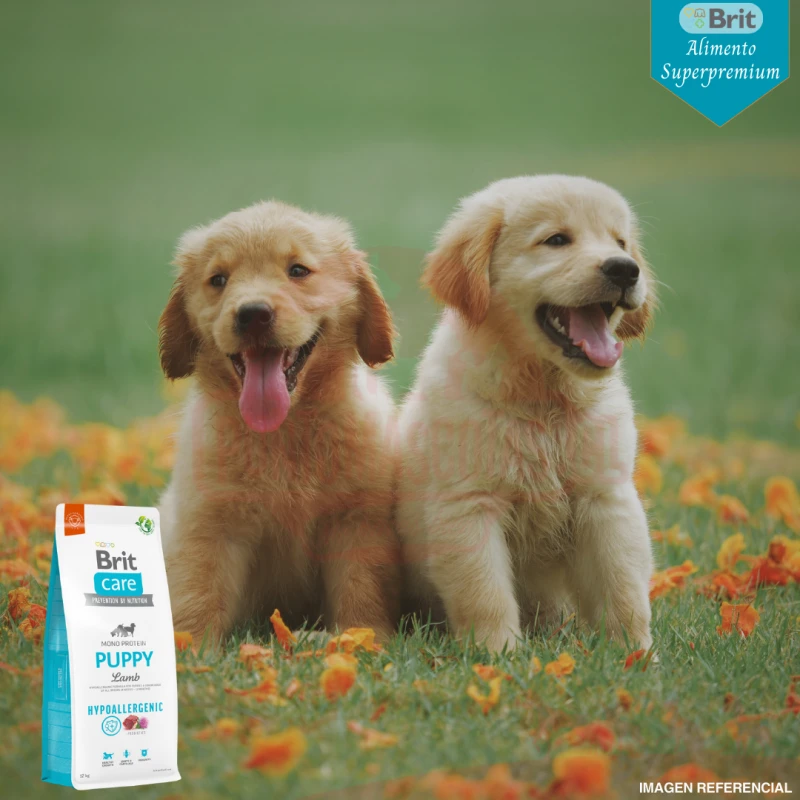 Brit Care Puppy Cordero Y Arroz 12 Kg 5 Brit Care Puppy Cordero Y Arroz 12 Kg - Imagen 3