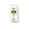 Brit Fresh Duck With Millet Active 2.5 Kg