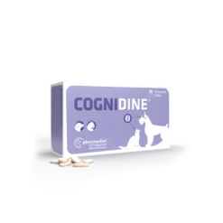 Cognidine 60 Tabletas