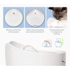 Fuente De Agua Catit Pixi Rosa -Puntomascotas Tienda fuente de agua catit pixi rosa 2