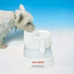 Fuente De Agua Cascada Para Gatos Y Perros Pequenos 9 Fuente De Agua Cascada Para Gatos Y Perros Pequenos -Puntomascotas Tienda fuente de agua gato 2