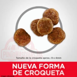 Hills Adult 7+ Small Bites 6.8 Kg -Puntomascotas Tienda hills adult 7 small bites 68 kg 2