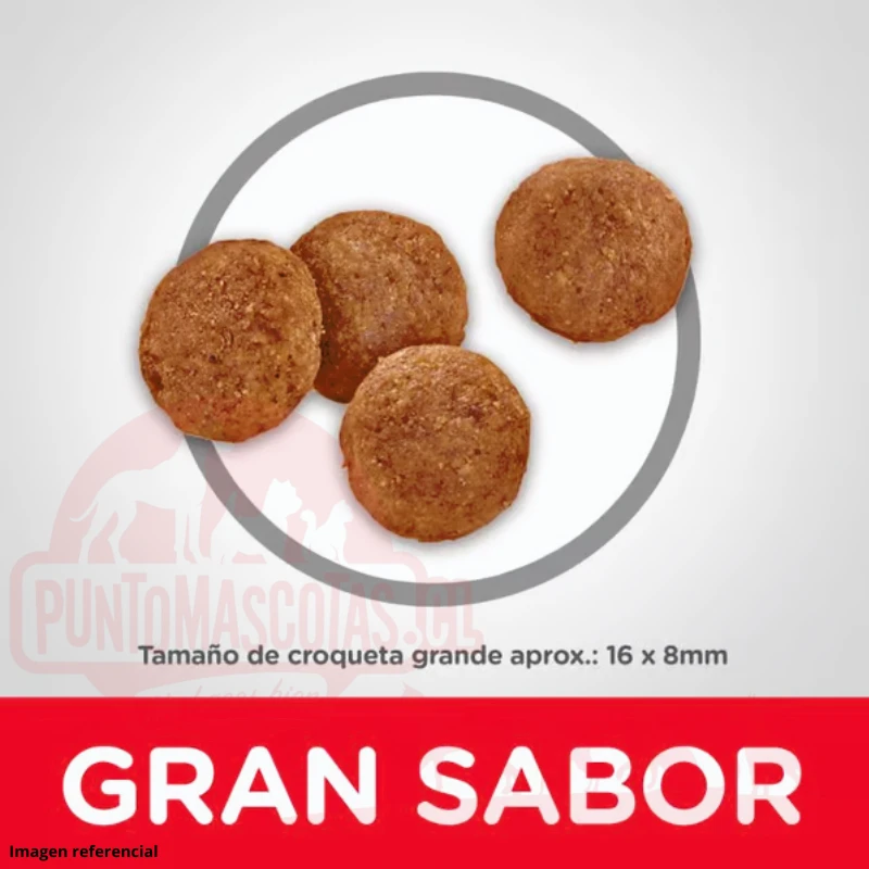 Hills Adulto Large 15 Kg 4 Hills Adulto Large 15 Kg - Imagen 2