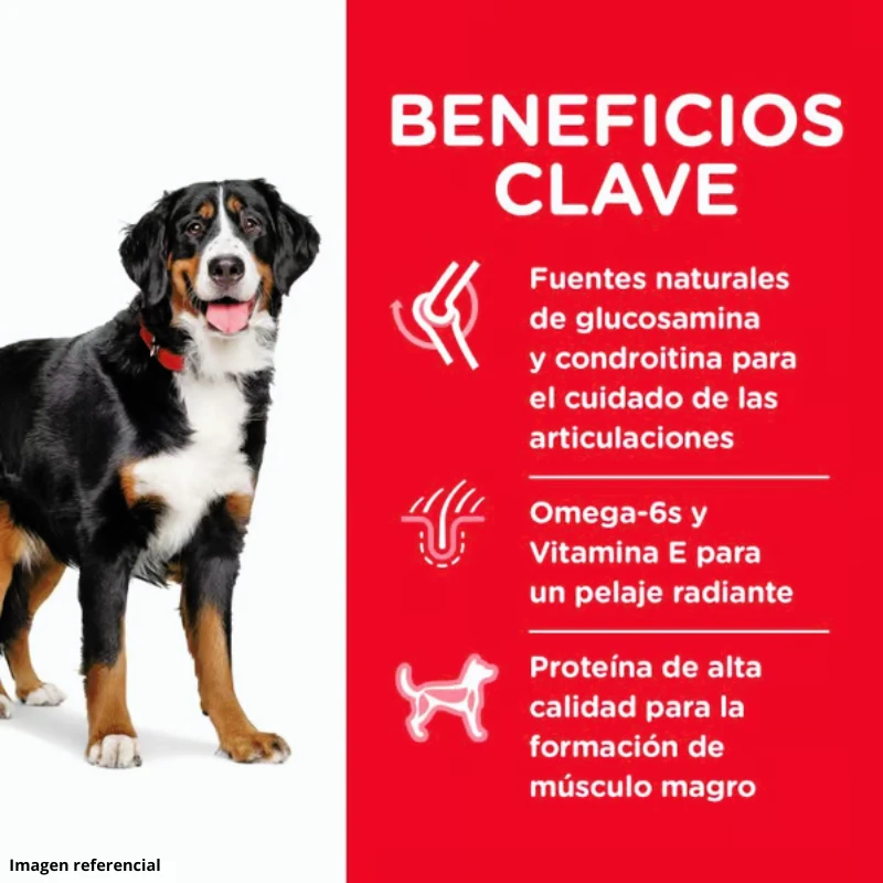 Hills Adulto Large 15 Kg 5 Hills Adulto Large 15 Kg - Imagen 3