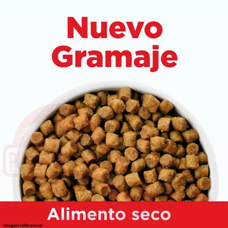 Hills Canine Senior Small Bites 2Kg 4 Hills Canine Senior Small Bites 2Kg - Imagen 2