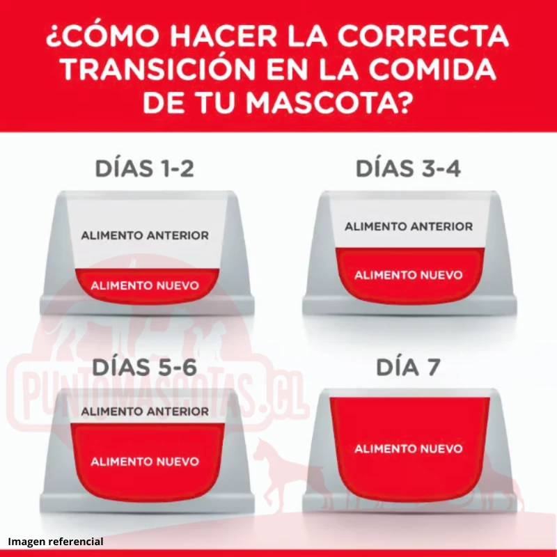 Hills Canine Senior Small Bites 2Kg 6 Hills Canine Senior Small Bites 2Kg - Imagen 4