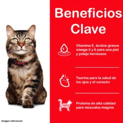 Hills Felino Mature 7+ Hairball Control 1.58 Kg 7 Hills Felino Mature 7+ Hairball Control 1.58 Kg -Puntomascotas Tienda hills felino mature 7 hairball control 158 kg 2