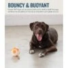 Juguete Pelota Planet Dog Naranja Medium -Puntomascotas Tienda juguete pelota planet dog naranja medium