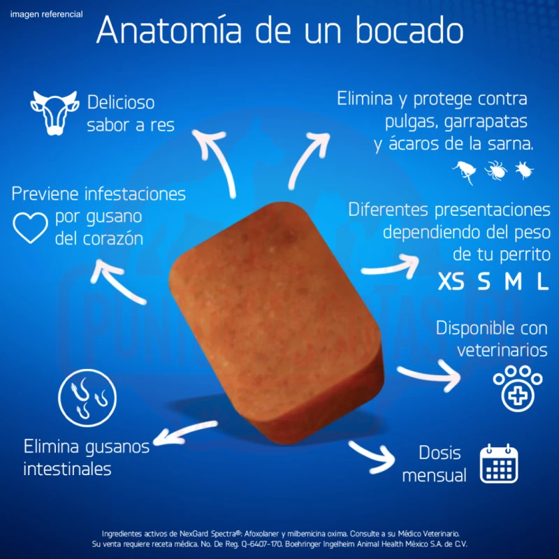 Nexgard Spectra 15.1 A 30 Kg 1 Comprimido 5 Nexgard Spectra 15.1 A 30 Kg 1 Comprimido - Imagen 3