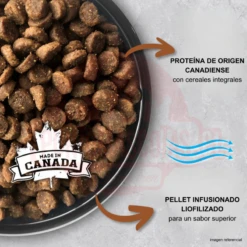 Nutrience Infusion Gato Senior 2.27kg 7 Nutrience Infusion Gato Senior 2.27kg -Puntomascotas Tienda nutrience infusion gato senior 227kg 2