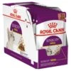 Pack Royal Canin Pouch Sensory Smell 85 Grs X 12
