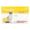 Pipeta Power Gato Hasta 4 Kg 2 Pipeta Power Gato Hasta 4 Kg -Puntomascotas Tienda pipeta power forte gato hasta 4 kg