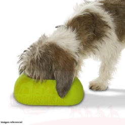 Plato De Silicona Buster Azul 1 L -Puntomascotas Tienda plato de silicona buster azul 1 l 2