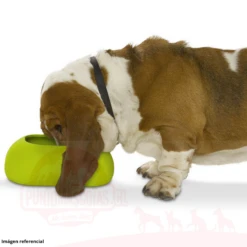 Plato De Silicona Buster Azul 1 L -Puntomascotas Tienda plato de silicona buster azul 1 l 3