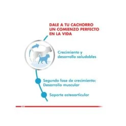 Royal Canin Giant Junior 15Kg -Puntomascotas Tienda royal canin giant junior 15kg 2