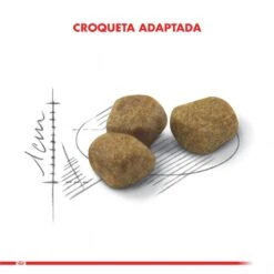 Royal Canin Indoor 7+ 1.5 Kg 12 Royal Canin Indoor 7+ 1.5 Kg -Puntomascotas Tienda royal canin indoor 7 reemplaza a mature 27 10