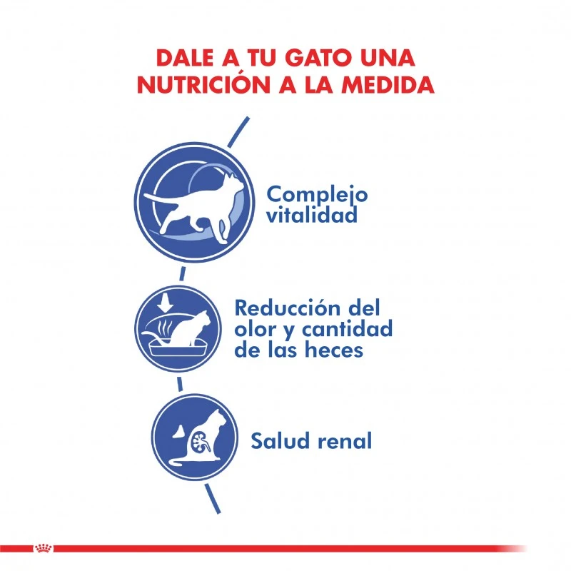 Royal Canin Indoor 7+ 1.5 Kg 5 Royal Canin Indoor 7+ 1.5 Kg - Imagen 3