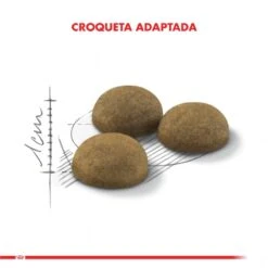 Royal Canin Indoor Long Hair 1.5 Kg -Puntomascotas Tienda royal canin indoor long hair 15 kg 2