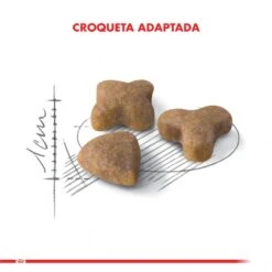 Royal Canin Special Sensible 33 7.5Kg 10 Royal Canin Special Sensible 33 7.5Kg -Puntomascotas Tienda royal canin special sensible 33 75kg 2
