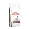 Royal Canin Vet Diet Canino GastroIntestinal 2Kg