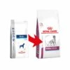 Royal Canin Vet Diet Canino Renal 10Kg
