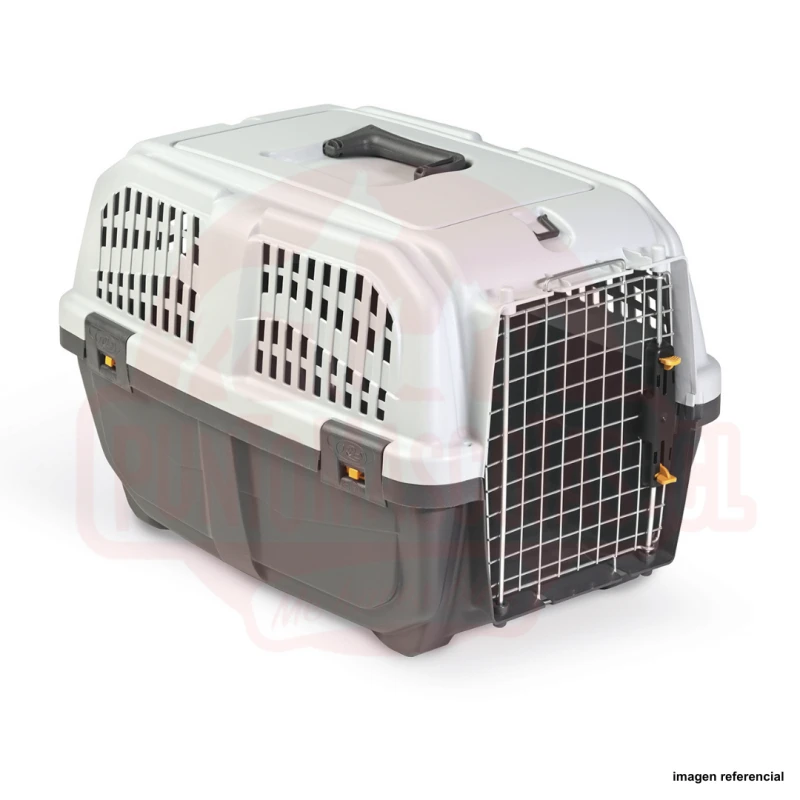 Transportadora Skudo 1 3 Transportadora Skudo 1