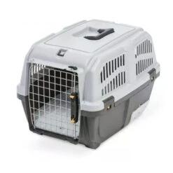 Transportadora Skudo Cat 3