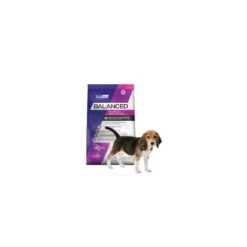 VitalCan Balanced Perro Cachorro Raza Mediana 3 Kg